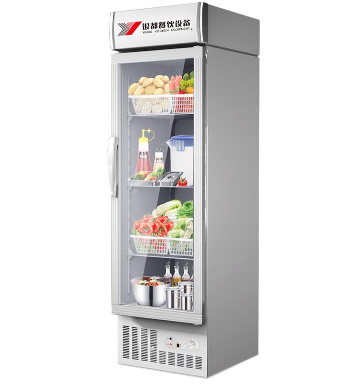 Glass Door Drink Fridge Beverage Display Fridge