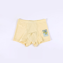 Minions ride the wind and waves boys' underwear(U1552-2))