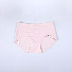 Minions passes by beautiful girls' underwear (U1506-3)