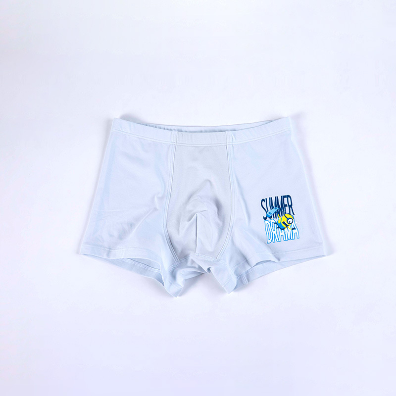 Minions ride the wind and waves boys' underwear(U1552-2))