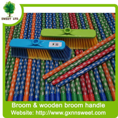 Shape Extension Stick Plastic Sweeping Dustpan Ceiling Broom Handle Jala Cleaning Floor Brush Diamond Broom