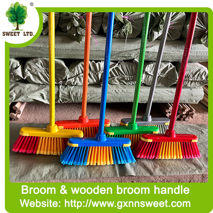 Home Floor Cleaning Escobas Plastic Soft Broom with Wood Handle in Dustpan and Broom Set