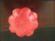 Dog Toys Natural Rubber Toy Chew Toys
