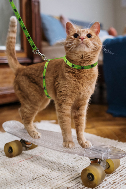 Cat Harness and Leash Set, Cats Escape Proof - Adjustable Kitten Harness for Large Small Cats, Lightweight Soft Walking Travel Pet Safe Harness