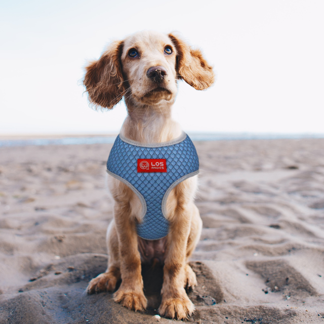 Soft Dog Harness No Choke Over-The-Head Triple Layered Breathable Mesh Adjustable Chest Belt and Quick-Release Buckle