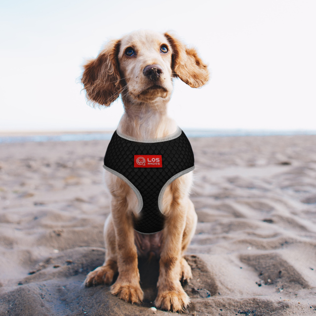 Soft Dog Harness No Choke Over-The-Head Triple Layered Breathable Mesh Adjustable Chest Belt and Quick-Release Buckle