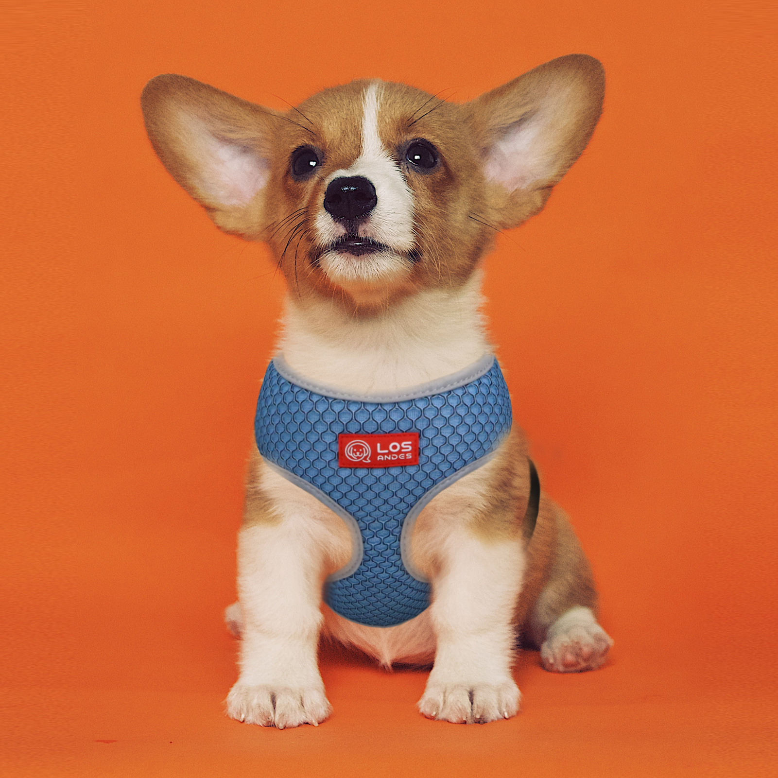 Soft Dog Harness No Choke Over-The-Head Triple Layered Breathable Mesh Adjustable Chest Belt and Quick-Release Buckle