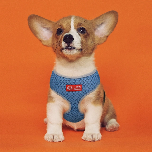 Soft Dog Harness No Choke Over-The-Head Triple Layered Breathable Mesh Adjustable Chest Belt and Quick-Release Buckle