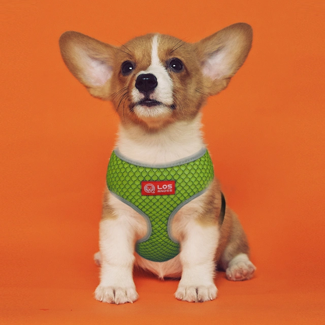 Soft Dog Harness No Choke Over-The-Head Triple Layered Breathable Mesh Adjustable Chest Belt and Quick-Release Buckle