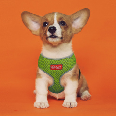 Soft Dog Harness No Choke Over-The-Head Triple Layered Breathable Mesh Adjustable Chest Belt and Quick-Release Buckle