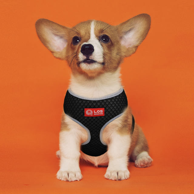 Soft Dog Harness No Choke Over-The-Head Triple Layered Breathable Mesh Adjustable Chest Belt and Quick-Release Buckle