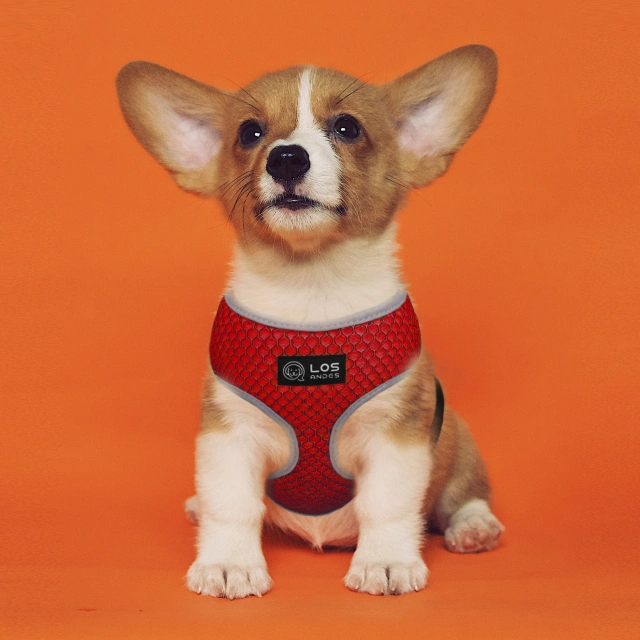 Soft Dog Harness No Choke Over-The-Head Triple Layered Breathable Mesh Adjustable Chest Belt and Quick-Release Buckle