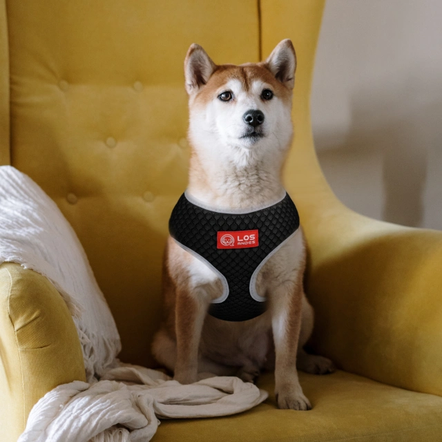 Soft Dog Harness No Choke Over-The-Head Triple Layered Breathable Mesh Adjustable Chest Belt and Quick-Release Buckle
