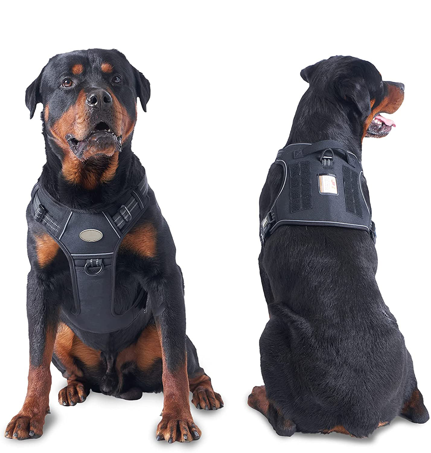 LOS ANDES Dog Harness No Pull Adjustable Pet Harness Front Clip Heavy Duty Safe Dog Vest Soft Easy Control Harness for Small Medium Large Dogs