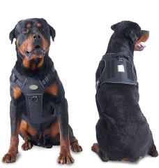 LOS ANDES Dog Harness No Pull Adjustable Pet Harness Front Clip Heavy Duty Safe Dog Vest Soft Easy Control Harness for Small Medium Large Dogs