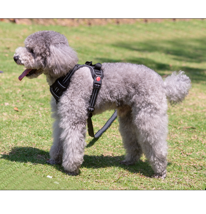 LOS ANDES Dog Harness No Pull Adjustable Pet Harness Front Clip Breathable Safe Dog Vest Soft Easy Control Harness for Small Medium Dogs