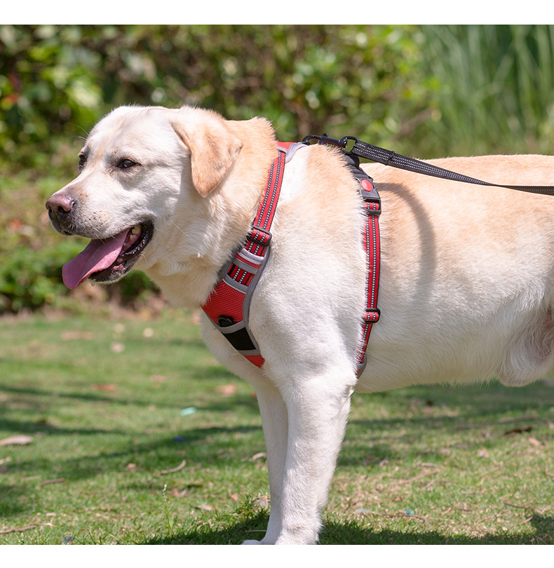 LOS ANDES Dog Harness No Pull Adjustable Pet Harness Front Clip Breathable Safe Dog Vest Soft Easy Control Harness for Small Medium Dogs
