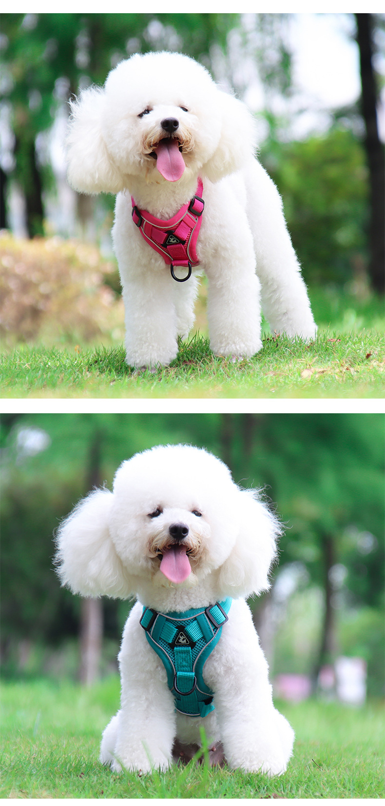 LOS ANDES Dog Harness No Pull Adjustable Pet Harness Front Clip Breathable Safe Dog Vest Reflective Easy Control Harness for Small Medium Dogs
