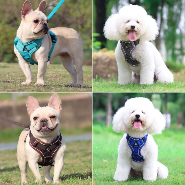 LOS ANDES Dog Harness No Pull Adjustable Pet Harness Front Clip Breathable Safe Dog Vest Reflective Easy Control Harness for Small Medium Dogs