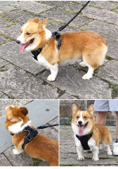 LOS ANDES Dog Harness Adjustable Pet Harness Front Clip Heavy Duty Safe Dog Vest Soft Easy Control Harness for Small Medium Large Dogs