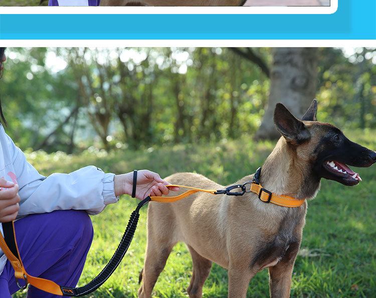LOS ANDES Dog Leash, Traffic Leash with Strong Bungee Reflective Walking Lead for Medium and Large Dogs
