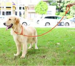 LOS ADNES Extremely Durable Dog Rope Leash, Premium Quality Training Slip Lead,Thick Heavy Duty, Sturdy Nylon, Comfortable For The Strong Large Medium Small Pets