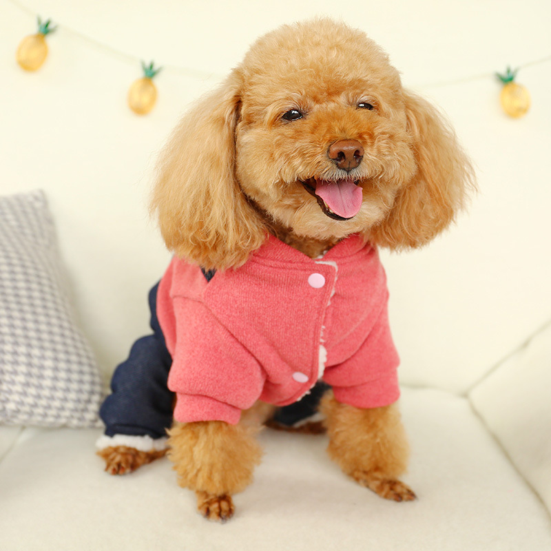 LOS ANDES Thermal Dog Clothes for Small Dogs Winter Outfits Little Puppy Sweater Pet Jumpsuits Cat Coats