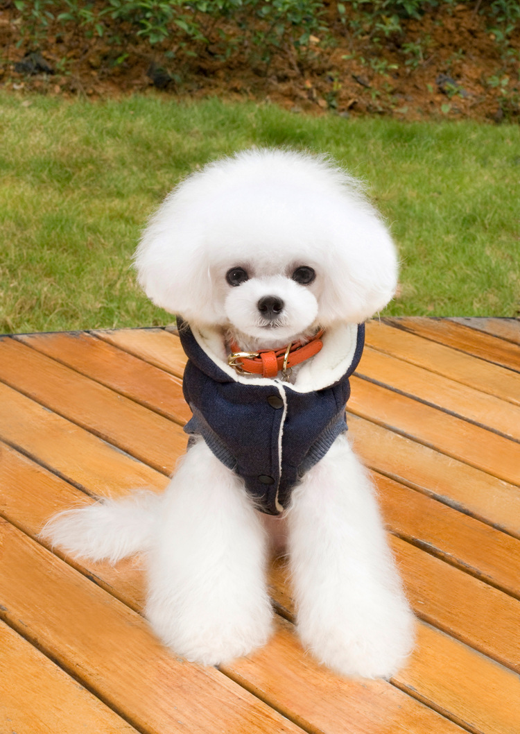 LOS ANDES Dog Hoodie - Soft and Warm Dog Hoodie Sweater, Dog Winter Coat, Cold Weather Clothing for S-XXL Dogs