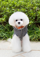 LOS ANDES Dog Hoodie - Soft and Warm Dog Hoodie Sweater, Dog Winter Coat, Cold Weather Clothing for S-XXL Dogs
