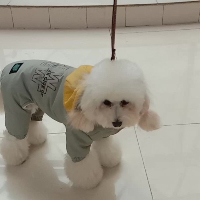 LOS ANDES Dog Hoodie, Soft and Warm Dog Winter Sweater, Cute Weather Clothing Warm Cat Sweater Doggie Coats Pet Apparel