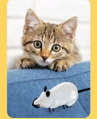 LOS ANDES Mini Simulated Mouse Toy, Realistic Flopping Fish Dog Toy