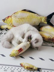 LOS ANDES Floppy Fish Cat Toy, Moving Cat Kicker Fish Toy, Realistic Flopping Fish Dog Toy, Plush Interactive Cat Toy for Indoor Cats, Wiggle Fish Catnip Toys
