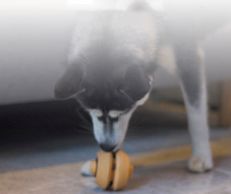 LOS ANDES Dog Toys Ball Durable Dog IQ Chew Toys for Puppy Small Large Dog Teeth Cleaning/Chewing/Playing/Treat Dispensing Dog Toys