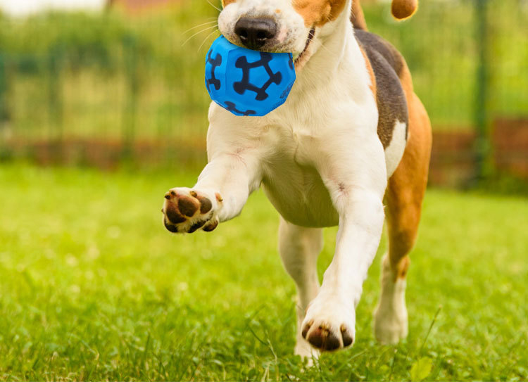 LOS ANDES Dog Balls Toy for Aggressive Chewers, Indestructible Bouncy Dog Ball, Lightweight&Floating, Durable Dog Chew Ball for Large&Medium Dogs to Fetch and Play
