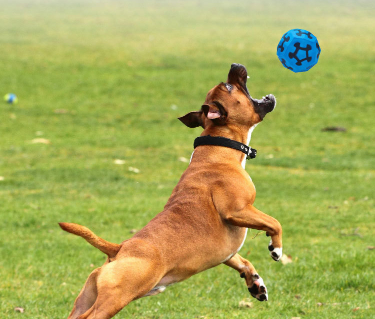 LOS ANDES Dog Balls Toy for Aggressive Chewers, Indestructible Bouncy Dog Ball, Lightweight&Floating, Durable Dog Chew Ball for Large&Medium Dogs to Fetch and Play