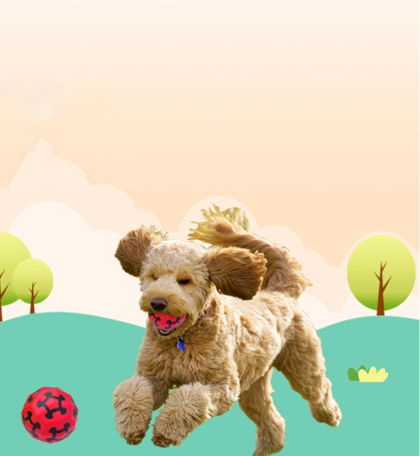 LOS ANDES Dog Balls Toy for Aggressive Chewers, Indestructible Bouncy Dog Ball, Lightweight&Floating, Durable Dog Chew Ball for Large&Medium Dogs to Fetch and Play