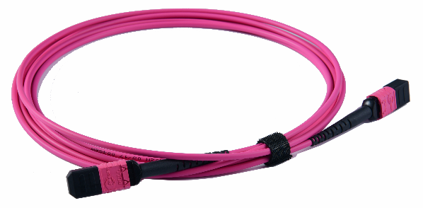 MPO/MTP Trunk Cable