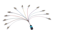 MPO/MTP Harness Cable