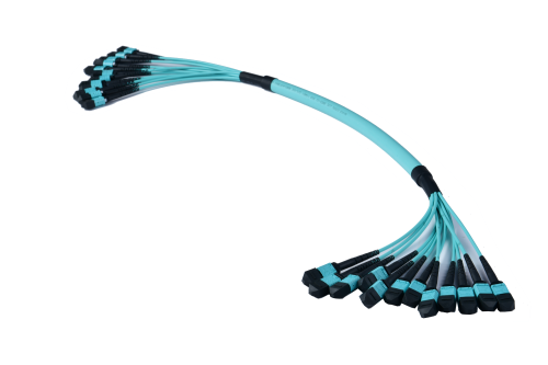 MPO/MTP Trunk Cable