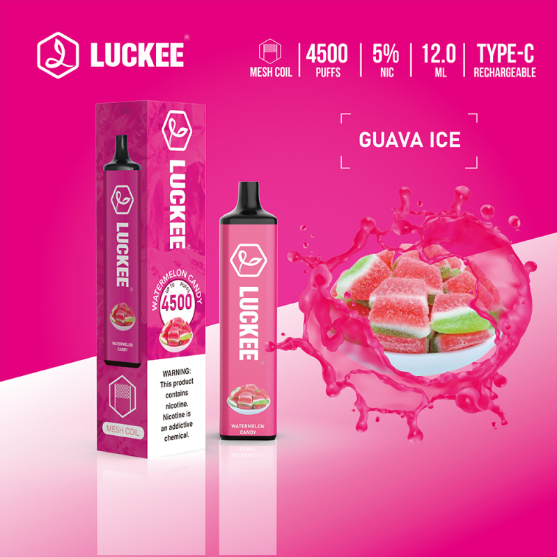 Luckee 4500 Puffs 5% Mesh Coil 12ml Disposable Vape Pen with type c