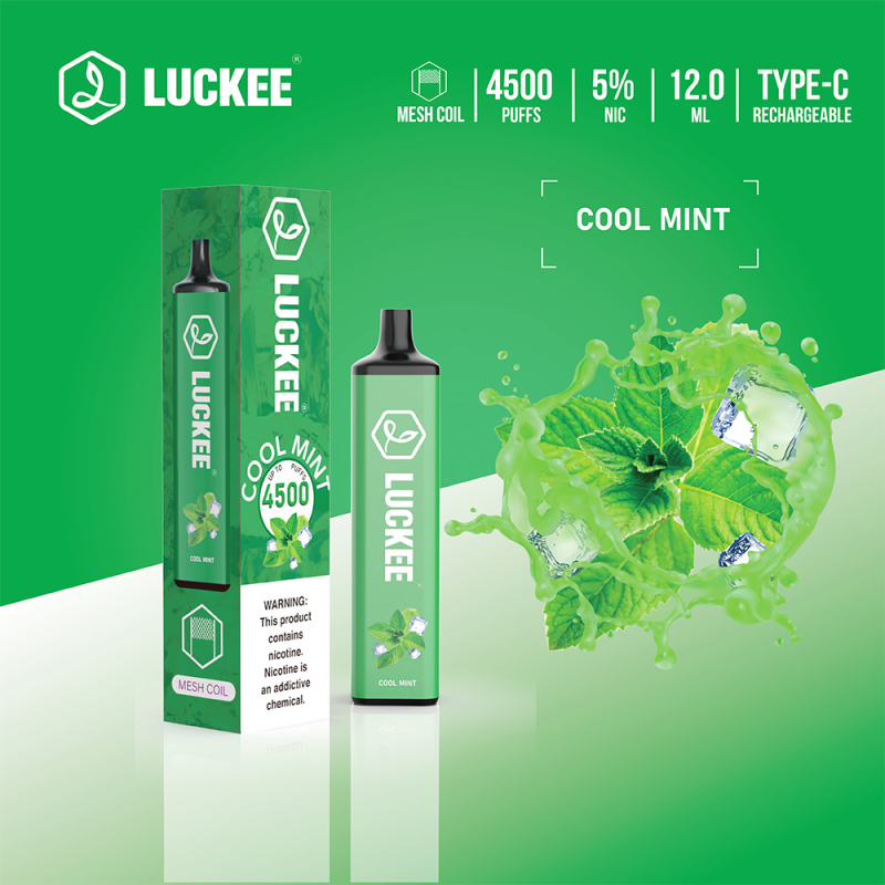 Luckee 4500 Puffs 5% Mesh Coil 12ml Disposable Vape Pen with type c