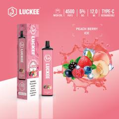 Luckee 4500 Puffs 5% Mesh Coil 12ml Disposable Vape Pen with type c