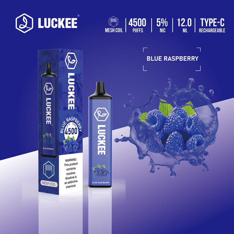 Luckee 4500 Puffs 5% Mesh Coil 12ml Disposable Vape Pen with type c