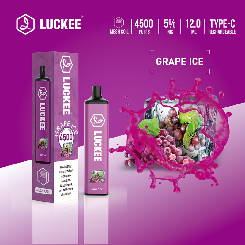 Luckee 4500 Puffs 5% Mesh Coil 12ml Disposable Vape Pen with type c