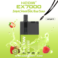 Hcow Ex7000 Puffs Disposable Vape Pen