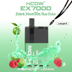 Hcow Ex7000 Puffs Disposable Vape Pen