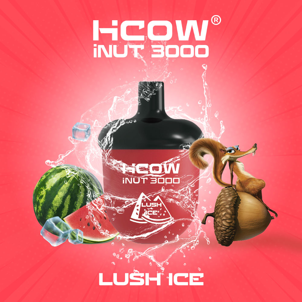 HCOW iNUT 3000 puff Mesh Coil Disposable vape