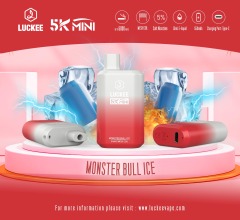 Luckee 5k mini 5000 puffs disposable vape with mesh coil type c 5%