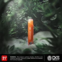CKS Torch Disposable vape Kit 3000 Puffs 5.5ml