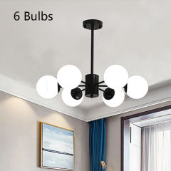 6 Bulbs（black）